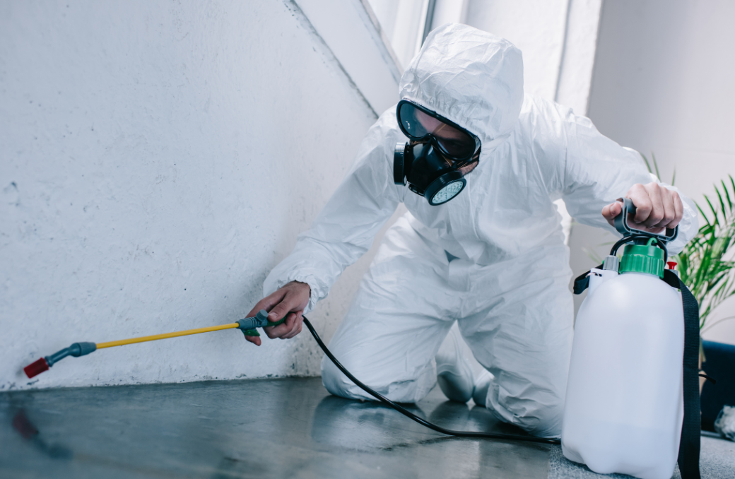 大阪の便利屋住まいルが対応する害虫・害獣駆除サービス。防護服を着用して室内の害虫駆除と消毒作業を行っている様子