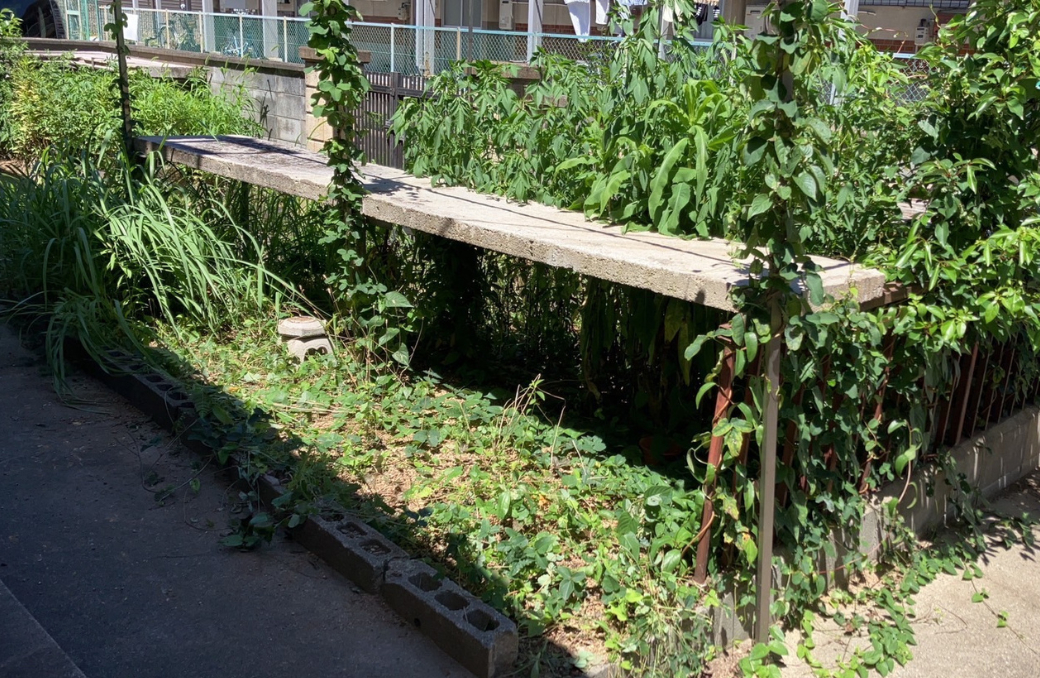 東大阪市の雑草が生い茂った庭や空き地の作業前