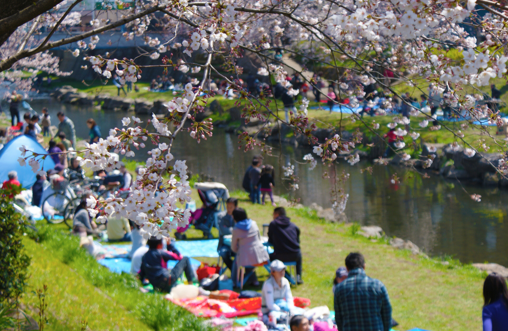 花見や花火大会などの場所取り代行サービス
