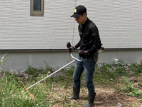 東大阪市の草刈り・草むしり・庭木剪定サービス