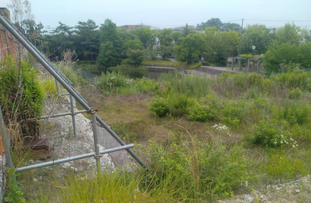 大阪で施設や学校敷地の草刈り作業に対応している便利屋住まいルの作業現場